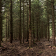 Illustration for article titled Lifetime is making a horror movie thats definitely inot /iabout Slender Manem/em